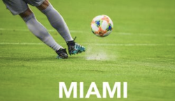 Luxury chauffeur transportation for Saudi Arabia vs Uruguay - World Cup - Group H (Match 13) in Miami